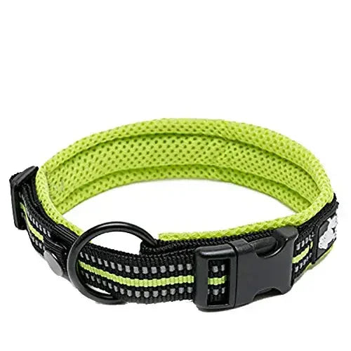 TrueLove Nylon Adjustable Dog Collar Padded Reflective Training