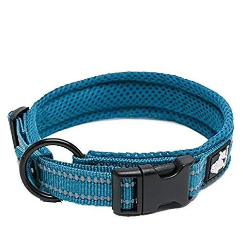 TrueLove Nylon Adjustable Dog Collar Padded Reflective Training