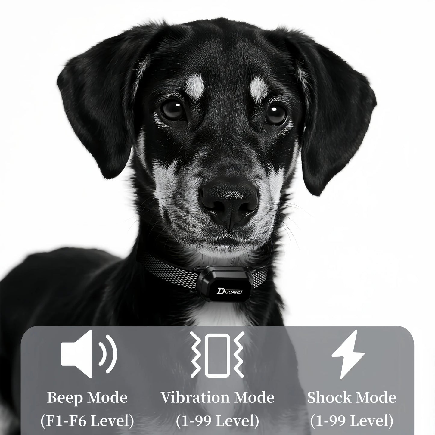 YHLC Electric Dog Training Collar With Remote Control Waterproof