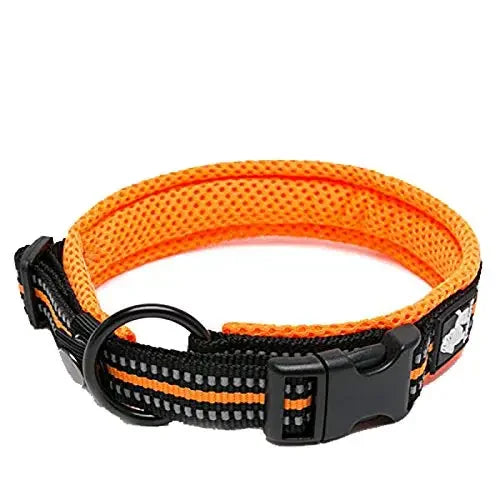TrueLove Nylon Adjustable Dog Collar Padded Reflective Training