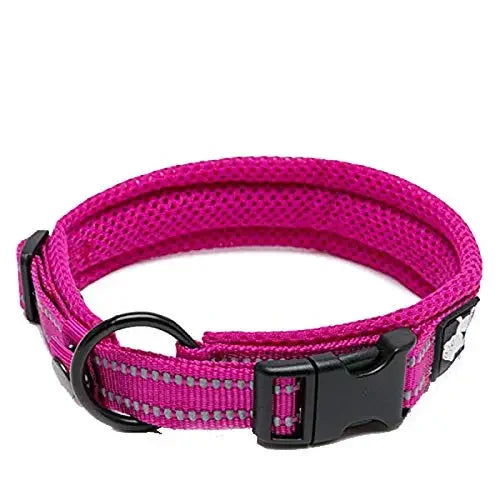 TrueLove Nylon Adjustable Dog Collar Padded Reflective Training