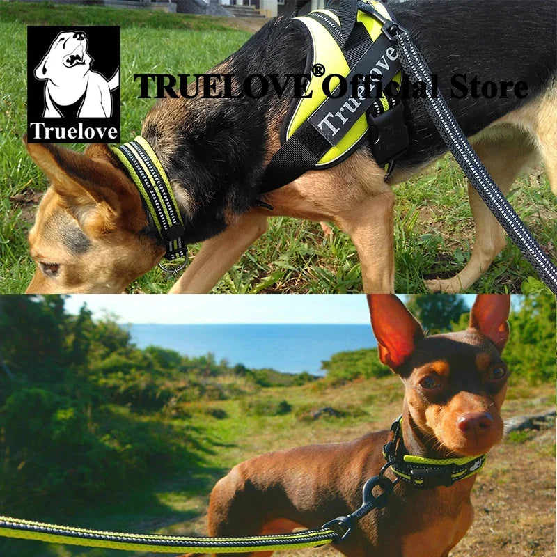 TrueLove Nylon Adjustable Dog Collar Padded Reflective Training