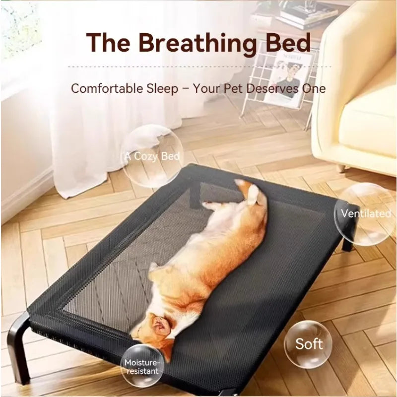 Elevated Outdoor Dog Bed For Large Pets Moisture Proof Non Slip